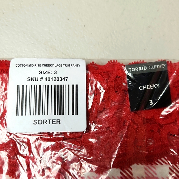 ♥️NWT VINTAGE TORRID RASPBERRY GINGHAM COTTON MID-RISE CHEEKY LACE TRIM PANTY - Picture 9 of 12